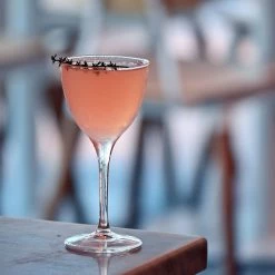 Bormioli Rocco 5.25oz Novecento Nick & Nora Glass | Set Of 4 -Dinnerware Sales 122113grs021990 1