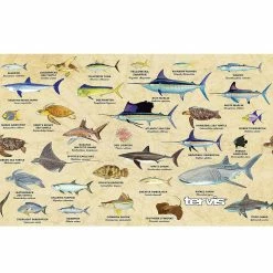 Tervis® 20oz Triple-Walled Insulated Stainless Steel Tumbler With Lid | Guy Harvey® Charts -Dinnerware Sales 1373571