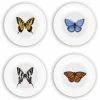 Bamboo Table 4-Piece Plate Gift Set | Butterflies -Dinnerware Sales bfgs0804 18