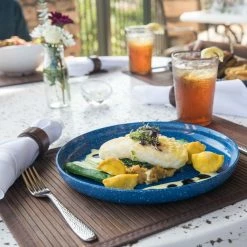 Fortessa Camp Melamine Coupe 11" Round Plate | Blue -Dinnerware Sales camp apollo veranda 8