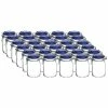 Bormioli Rocco 1L Swing Top Fido Glass Jars - Blue Lid | 30-pack -Dinnerware Sales ekb br1lfb 30