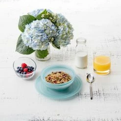 D&V By Fortessa La Jolla Dinner Plate | Sage -Dinnerware Sales lifestyle la jolla 5