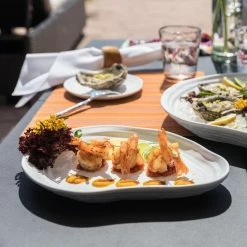 Fortessa Playa Blanca Melamine 10.6" Plate | White Beach -Dinnerware Sales playa blanca royal pacific 5