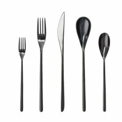 Fortessa Dragonfly 5pc Place Setting | Black