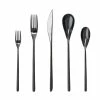 Fortessa Dragonfly 20pc Place Setting | Black 1 Fortessa Dragonfly 20pc Place Setting | Black -Dinnerware Sales r6bvw4t6hq35yvcpx3g8 1