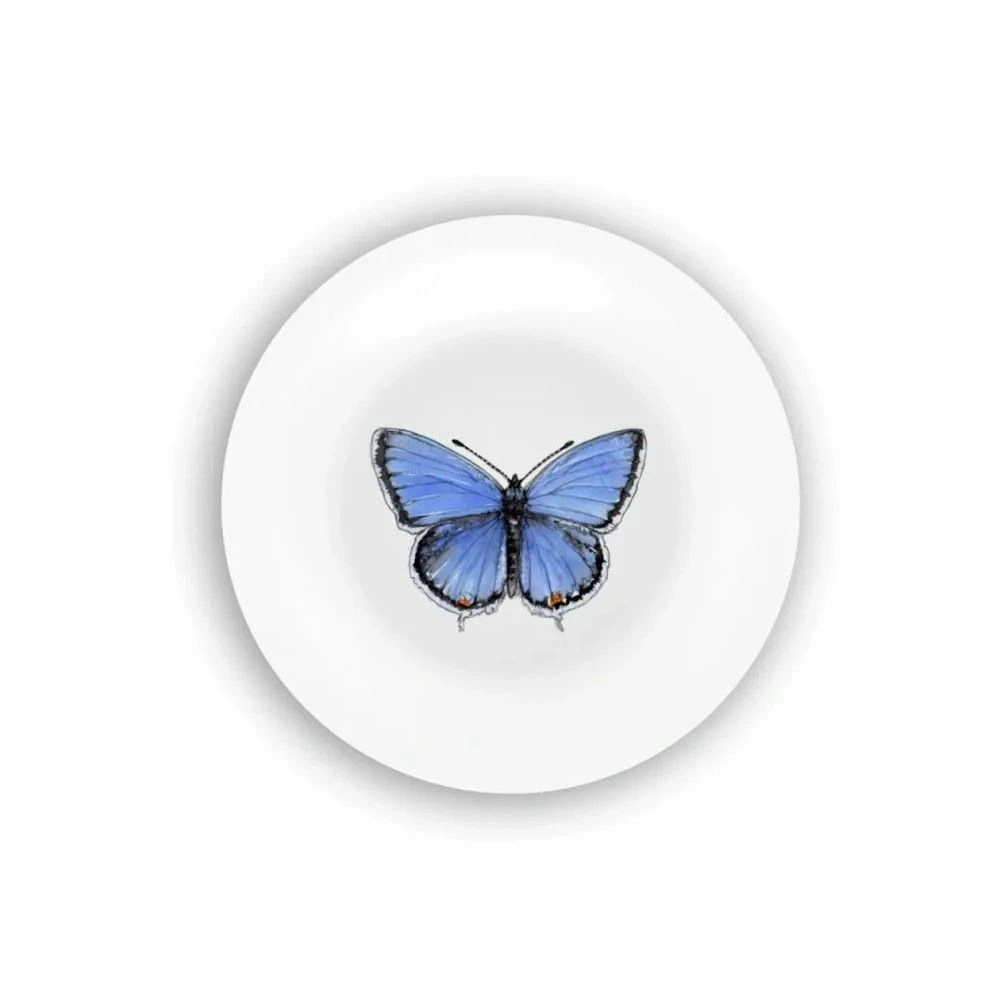 Bamboo Table 4-Piece Plate Gift Set | Butterflies 5 Bamboo Table 4-Piece Plate Gift Set | Butterflies - Image 3